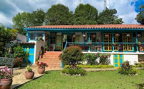 Real House Salento
